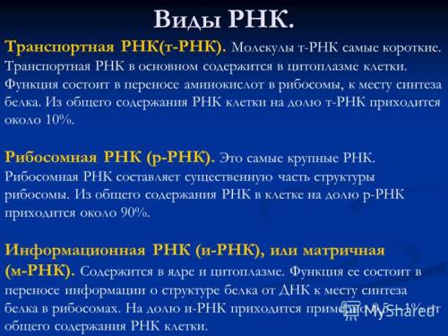 Сколько типов трнк содержится в клетке? чем они отличаются?