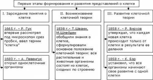 П10 и методы изучения клетки . клеточная теория краткое обьяснение что это такое