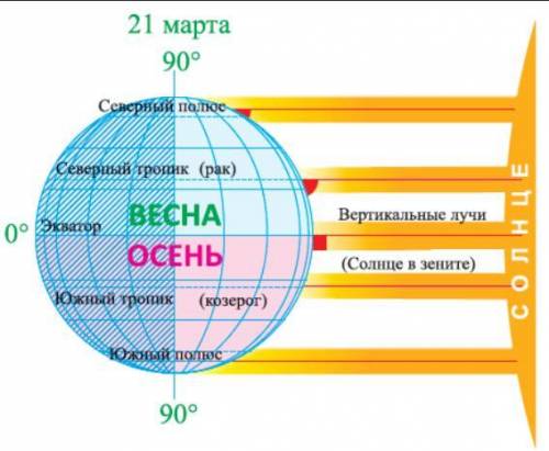 Где находится солнце в зените 21 марта