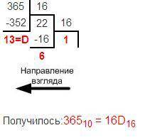 Перевести число 365 из q10→q2,q4,*q16