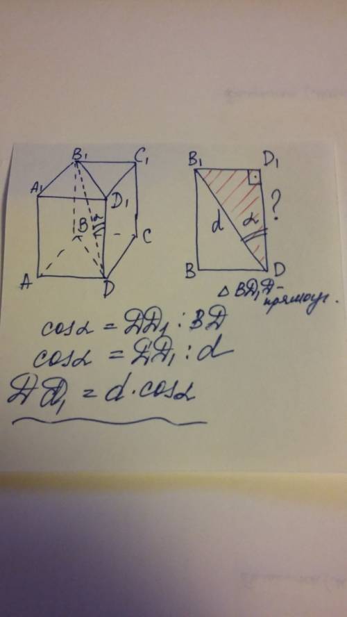 Найти боковое ребро призмы, если диагональ правильной четырехугольной призмы равна d и создает угол