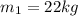 m_1=22kg