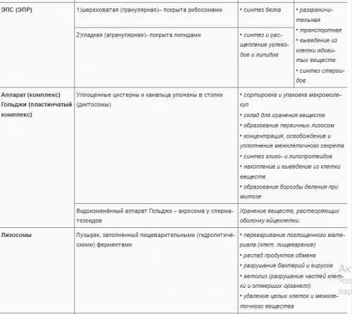 Таблица 9 класс часть клетки, особиности строения,функции .