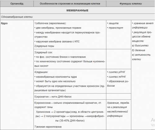 Таблица 9 класс часть клетки, особиности строения,функции .