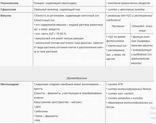 Таблица 9 класс часть клетки, особиности строения,функции .