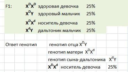 Всемье, где родители имеют нормальное цветовое зрение, сын – дальтоник. гены нормального цветового з