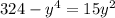 324-y^4=15y^2