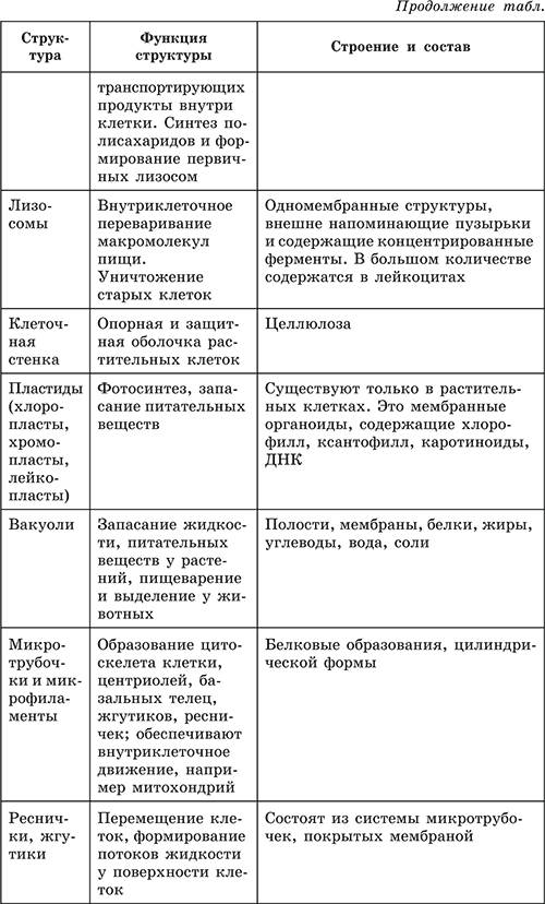 Строение оргоноидов в клетке название строение функция (таблица)