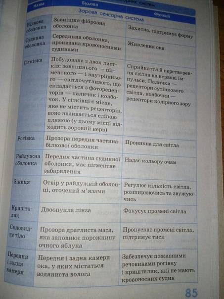 Расскажите выполняемые функции строение глаза(своими словами): 1. сосудистая оболочка. 2. радужка 3.