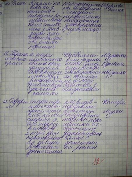 Это таблица! 25 ! название отряда,представители,образ жизни,форма тела,ротовой аппарат,пища,развитие