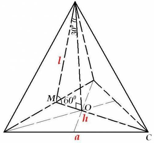 Вправильной треугольной пирамиде апофема равна 6 см, наклонена к плоскости основания под углом 60*.
