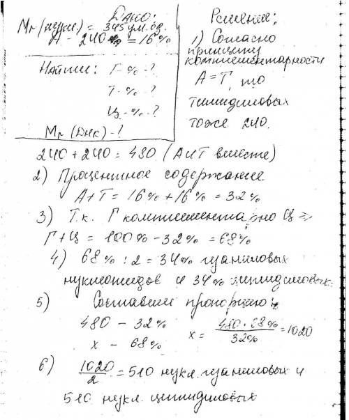 Фрагменти молекул днк містить 240 аденілових нуклеотидів що становить 16 % від загальної кількості н