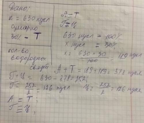 Из 630 нуклеотидов фрагмента днк тимидиловые нуклеотиды составляют 30% определите общее количество в