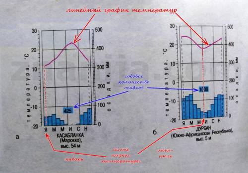 Сравните климатограммы касабланки и дурбана. в чём причины их различий?