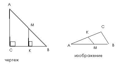 Іть. дано зображення прямокутного трикутника авс. точка м - середина гіпотенузи ав. побудуйте зображ