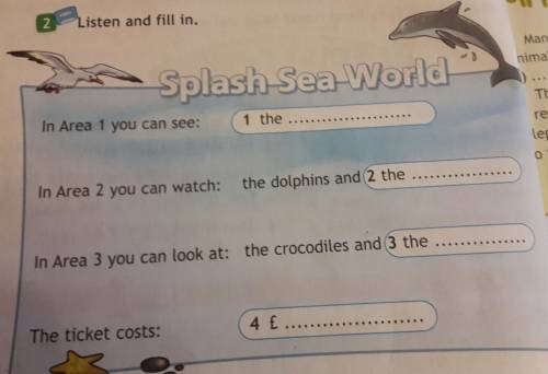 Listen and fill in.ln area 1 you can see: area 2 you can watch: the dolphins and 2 area 3 you can lo