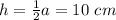 h= \frac{1}{2}a=10\ cm