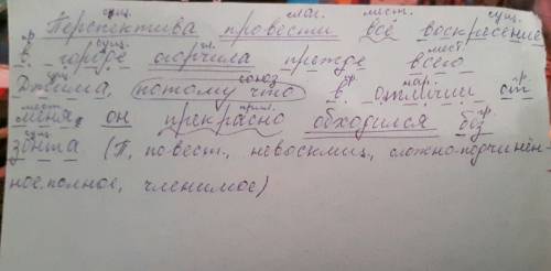 Перспектива провести все воскресенье в городе огорчила прежде всего джима ,потому что в отличие от м