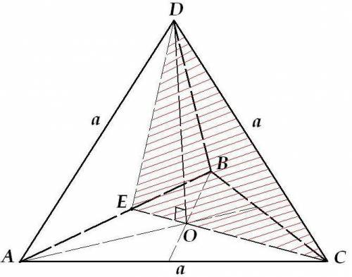 Ребро правильного тетраэдра равно a. найдите площадь его сечения, проходящей через ребро dc и середи