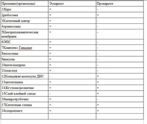 Чем клетки прокариот по строению отличается от клеток эукариот