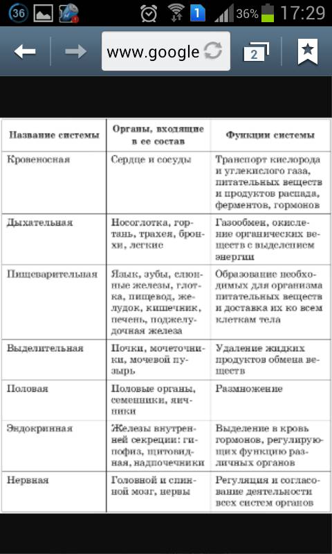 Таблица на тему органы и системы органов надо пожэ