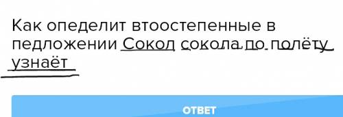 Как опеделит втоостепенные в педложении сокол сокола по полёту узнаёт