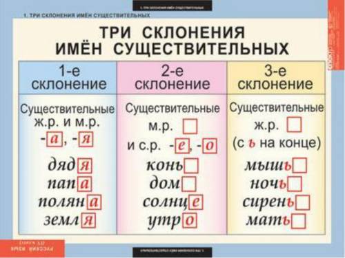 Что нового вы узнали о склонении и роде существительных