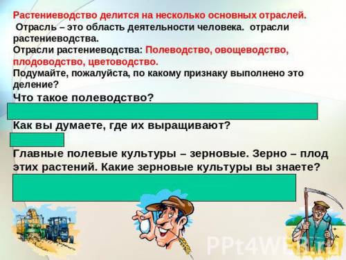 Полеводство в ленинградской области