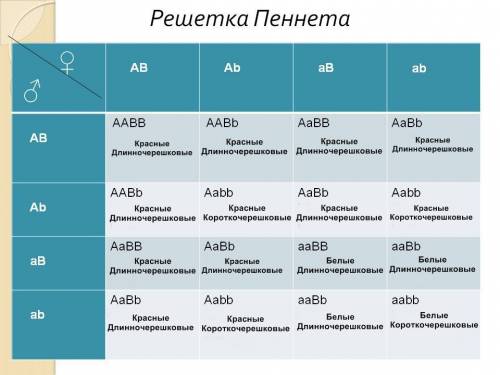 Решить по биологии скрестили растения земляники с красными и длинночерешковыми листьями,с растением