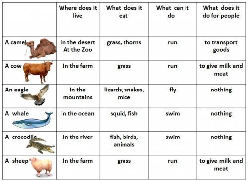 Заполни таблицу animal,bird(a monki); where does it live? (in the zoo,in afrika); what does it eat?