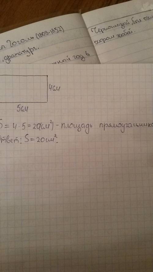 Определите площадь прямоугольника со сторанами 4см и 5