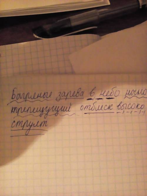 Исинтаксический разбор предложения ( багряные зарева в небо ночное трепещущий отблеск высоко струят