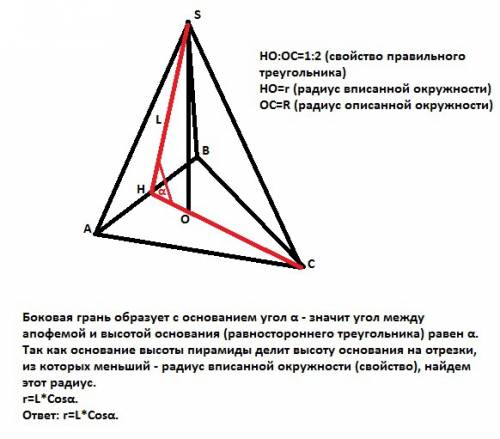 Управильній трикутній піраміді апофема = l, а бічна граню піраміди утворює з основою кут альфа.зайді