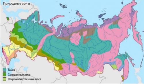 Какие подзоны выделяются внутри зоны