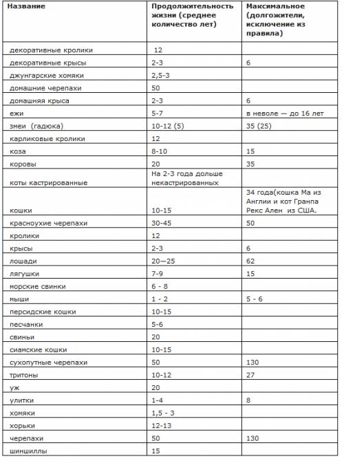 Продолжительность жизни разных животных