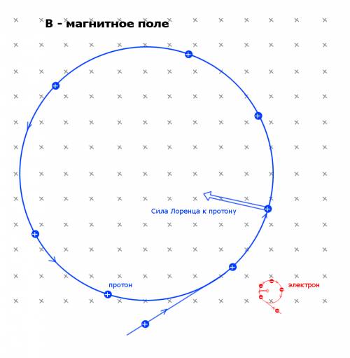 Протон и электрон с одинаковой скоростью 2 мм/с влетают в однородное магнитное поле перпендикулярно