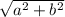 \sqrt{ a^{2} +b^{2} }