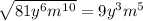 \sqrt{81y^6m^{10}}=9y^3m^5