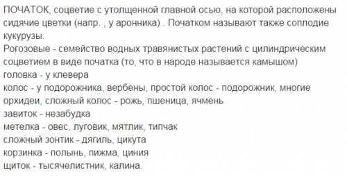 Описание соцветия : головка,простой колос,сложный колос , завиток , метёлка (сложная кисть),корзинка