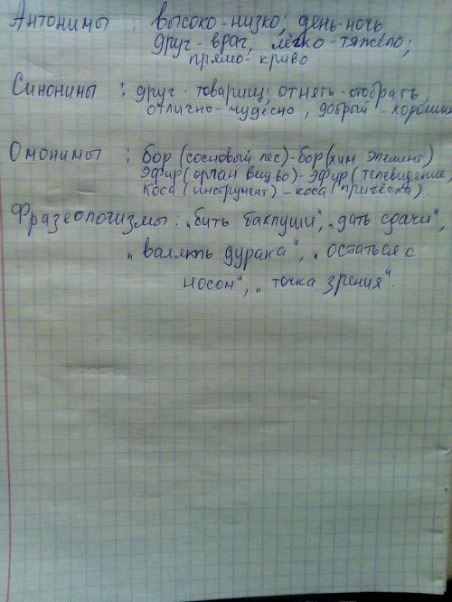 По 5 слов антонимы синонимы омонимы фразеологизмы