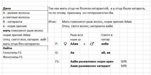 Известно, что катаракта (в) и рыжеволосость (а) у человека контролируются доминантными генами, локал