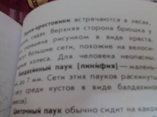 Написать рассказ об одном из насекомых или пауках