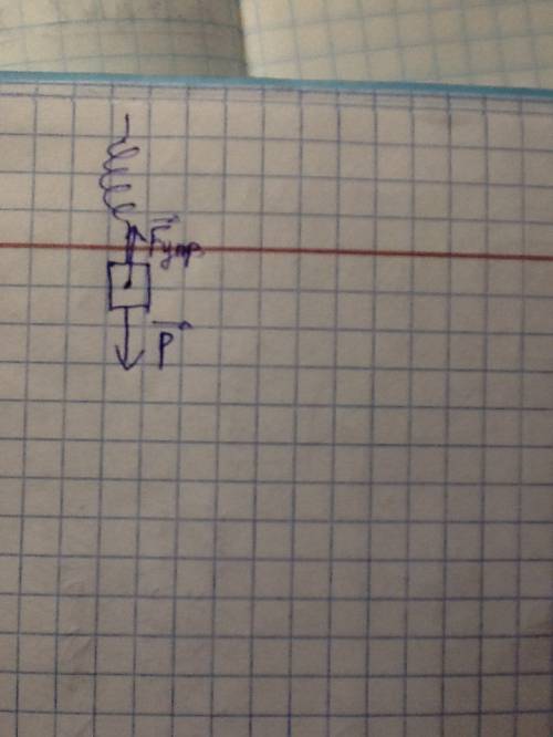 На пружину подвешена гиря массой 0.5 кг. изобразите на рисунке в выбранном вами масштабе вес тела и