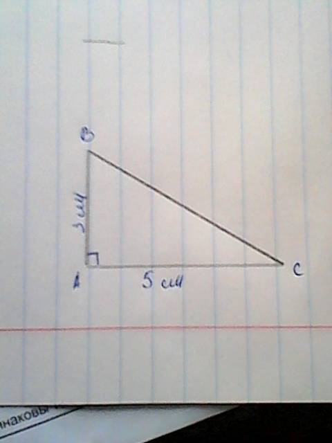 Начертите прямоугольный треугольник у которого стороны образующие прямой угол равны 3см и 5см