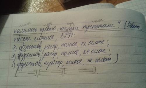 Бессоюзное, сложносочиненное ,сложноподчиненное предложения и синтаксический разбор к ним