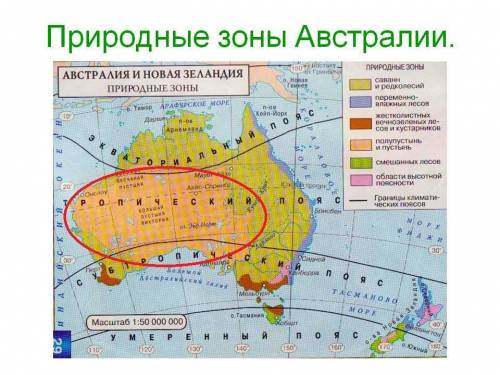 Самая большая по площади природная зона австралии?