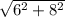 \sqrt{6 ^{2}+8 ^{2} }