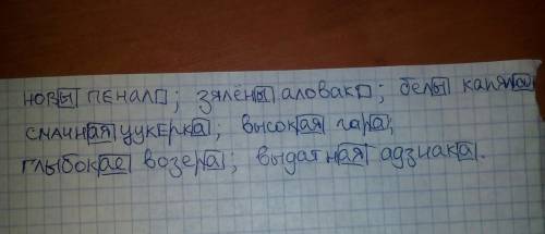 Выделить окончания в словах: новы пенал, зялёны аловак, белы капялюш, смачная цукерка, высокая гара,