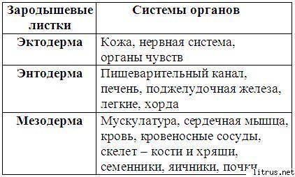 Итоговый тест по теме «организменный уровень» вариант №1 выберите один правильный ответ: (1 ). 1. в