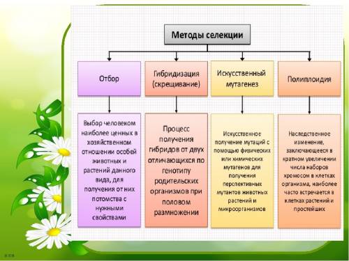 Итоговый тест по теме «организменный уровень» вариант №1 выберите один правильный ответ: (1 ). 1. в